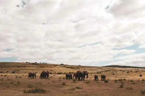 4 Days Serengeti and Ngorongoro Safari Cost