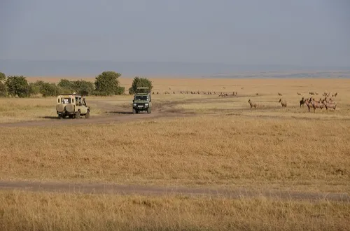 4 Days Serengeti and Ngorongoro Safari Price