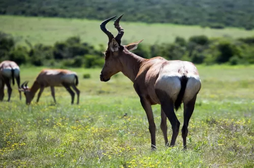 4 Days Tanzania Safari with Friends: Unforgettable Moments