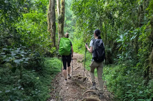 5 Days Marangu Route Kilimanjaro Climb in February