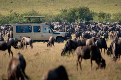 Plan the Ultimate 5 Days Tanzania Safari with Friends