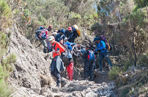6 Days Kilimanjaro Climbing Machame Route