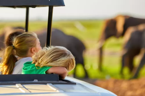 6 Days Tanzania Family Safari Tour for Couples and Kids