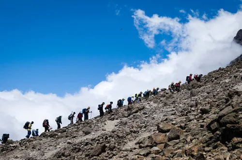 7 Days Kilimanjaro Climbing Lemosho Route