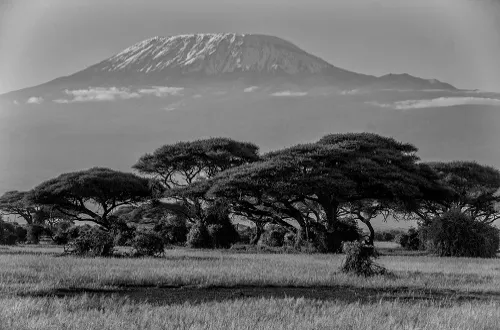 7 days Lemosho Route Affordable Kilimanjaro Climbing Tour