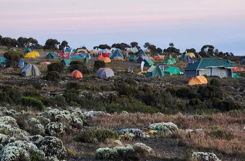 7 Days Lemosho Route Kilimanjaro Climbing in September