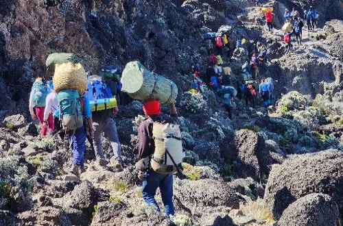 7 Days Machame Route Affordable Kilimanjaro Climbing Tour