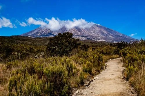 7 Days Machame Route Kilimanjaro Climbing in January