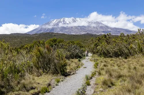 8 Days Budget Kilimanjaro Climbing Tour Package