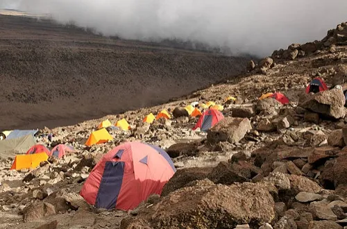 8 days Lemosho Route Budget Kilimanjaro Climbing Tour