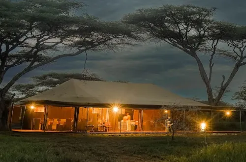 Ang’ata Migration Bologonja Camp Northern Serengeti