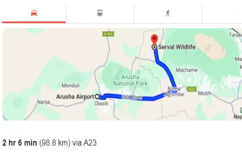 Arusha Airport to Serval Wildlife Transfer