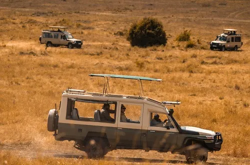 Budget Tarangire Day Trip Safari Tour