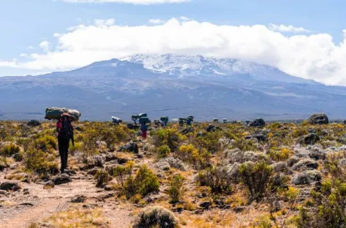 Cheap 7 Days Lemosho Route Kilimanjaro Climb