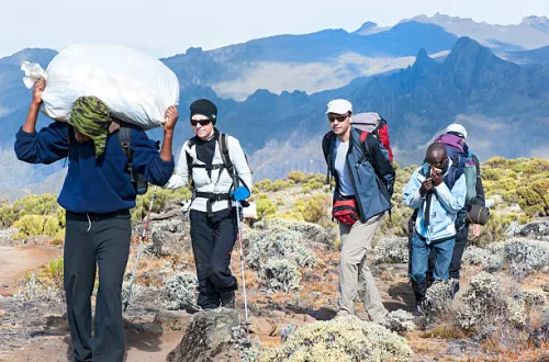 Cheap 8 Days Lemosho Route Kilimanjaro Climb