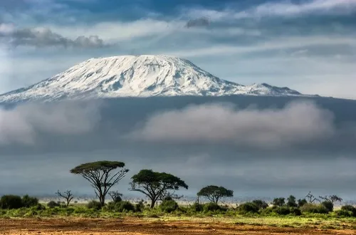 Climbing Kilimanjaro On A Budget 6 Days Lemosho Route