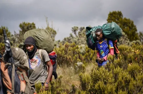 Climbing Kilimanjaro On A Budget 7 Days Lemosho Route