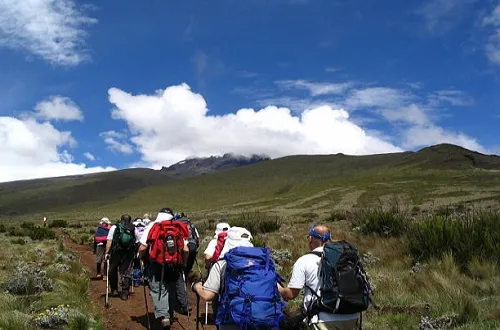 Climbing Kilimanjaro On A Budget 8 Days Lemosho Route