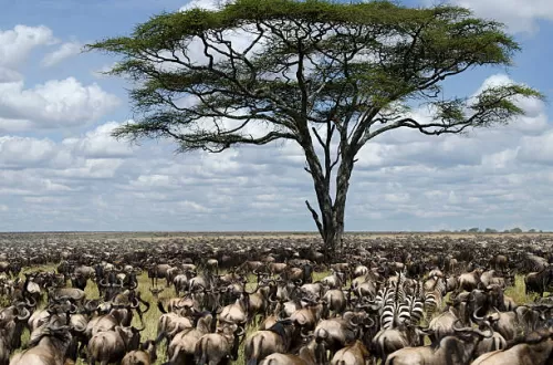 Is December a Good Time to Visit Tanzania?