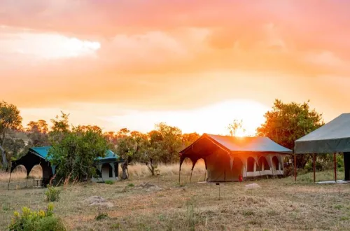 Kirurumu Under Canvas Ndutu Area: A Luxurious Mobile Camp