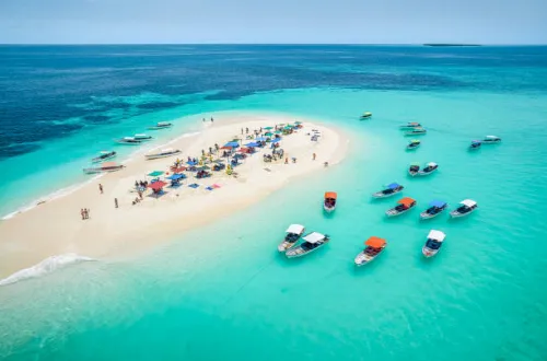 Kizimkazi Zanzibar: Hidden Beach for Dolphin Encounters