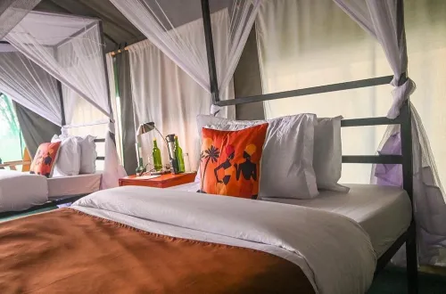 Nasikia Mobile Migration Camp Ndutu