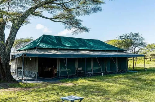 Ndutu Heritage Camp: A Seasonal Retreat For Great Migration