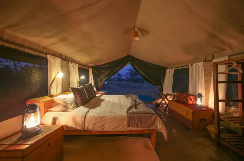 Ndutu Wilderness Camp: An Authentic Calving Season Safari