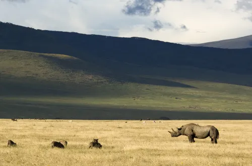 Ngorongoro Crater Altitude: 2,286 meters above sea level