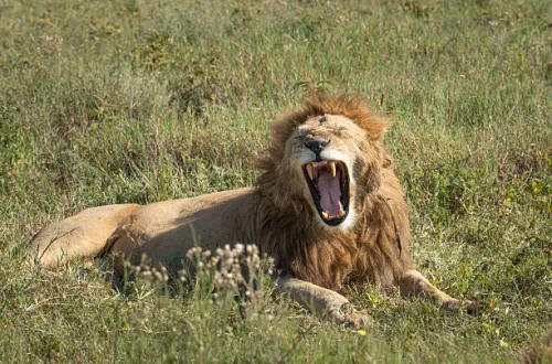 Ngorongoro Crater Best Photography Spots