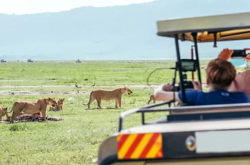 Romantic Ngorongoro Crater Honeymoon Day Trip Safari