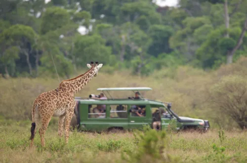 Ngorongoro Crater Travel Guide: Your Essential Companion