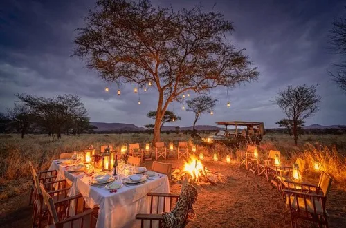 Nimali Central Serengeti: A Premier Safari Camp