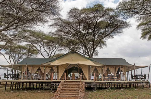Ole Serai Turner Springs: An Exquisite Safari Destination