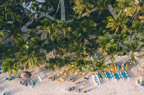 Paje Zanzibar Travel Guide: Beaches, Safaris, and More