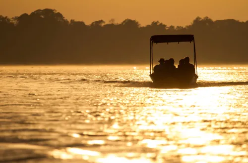 Selous Boat Safari: Adventures on the Mighty Rufiji River