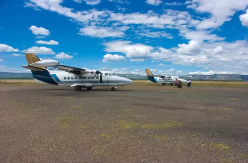 Selous Day Trip Safari with Flights From Zanzibar