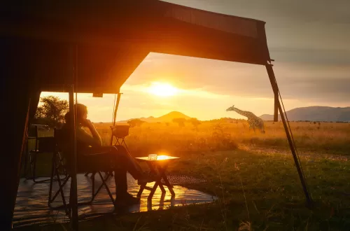 Serengeti and Ngorongoro 4 Days Honeymoon Safari