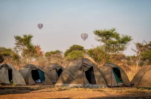 Discover the Best of Serengeti Camping Safaris