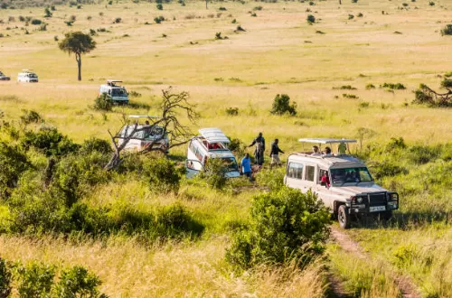 Serengeti National Park Tours and Excursions