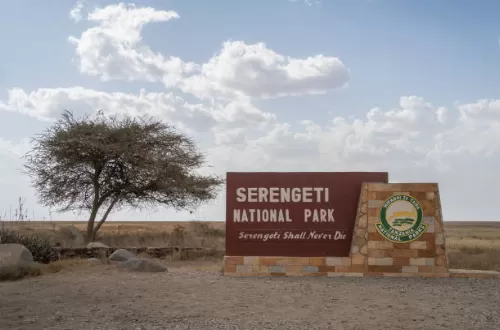 Serengeti National Park: Exploring the Africa’s Wonders