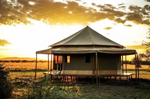 Serengeti Sound of Silence: Best Escape in the Wild