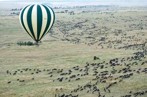 Serengeti Trip Planning: Ultimate Guide for Perfect Safari
