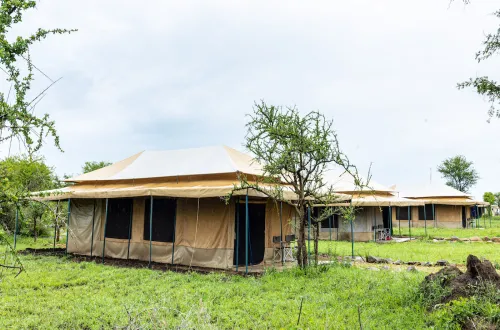 Serengeti Wild Camp: Perfect Mobile Tented Camps
