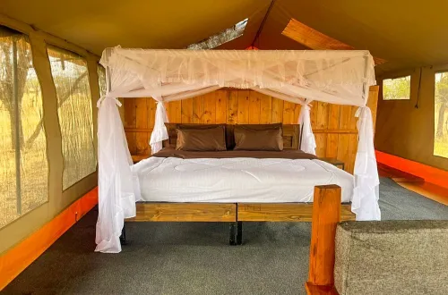 The Canopy Migration Camp Ndutu: Nature’s Greatest Show