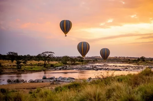 Top Tanzania Tour Operators: Guided Adventures