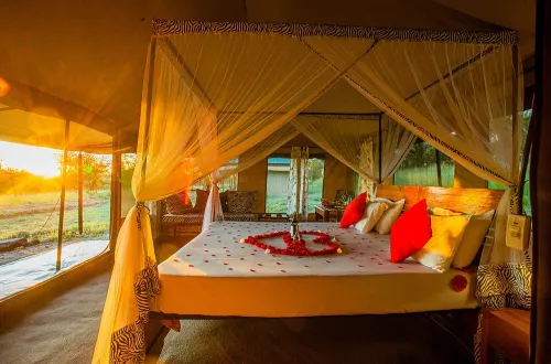 Tukaone Hembe Serengeti Camp: A Luxury Wilderness Retreat