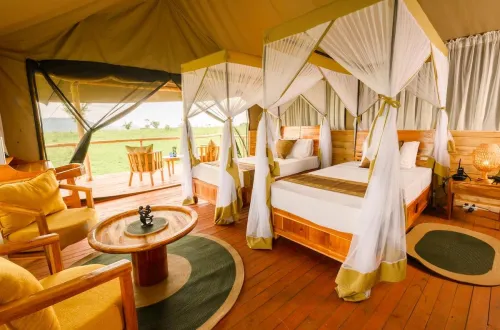 Tukaone Serengeti Camp: The Perfect Safari Retreat
