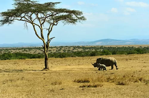Which month is best for the Ngorongoro Crater?